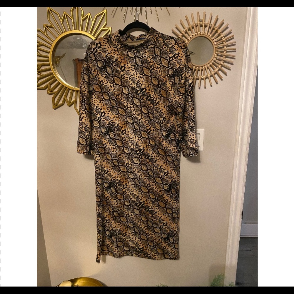 Zara dress